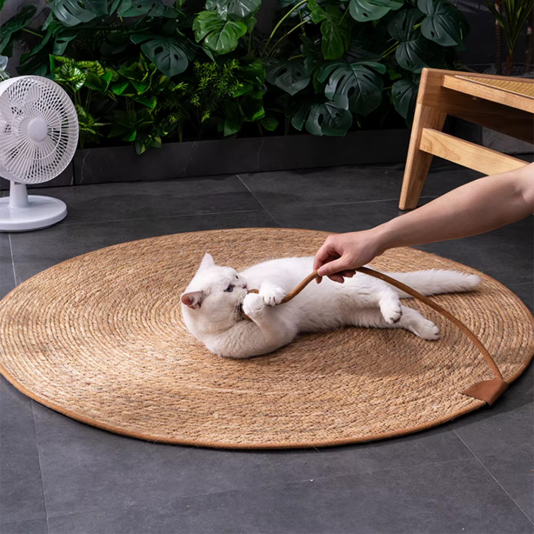 Cat Scratch Pad
